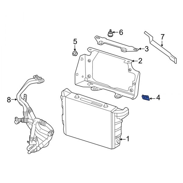 Engine Oil Cooler Nut