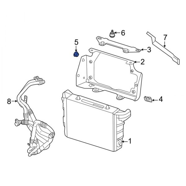 Engine Oil Cooler Nut