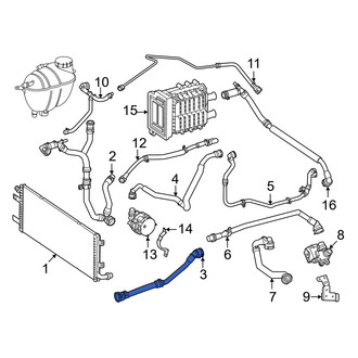 Mercedes-Benz OE - Lower Radiator Coolant Hose