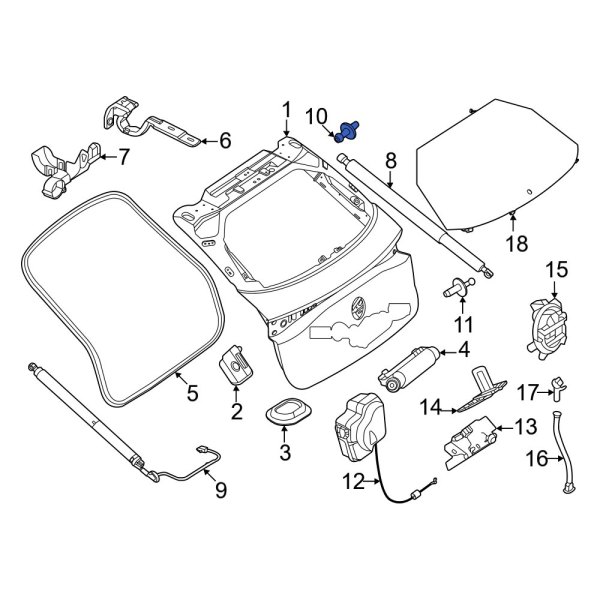 Liftgate Support Strut Holder