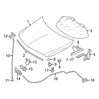 Mercedes-Benz OE - Hood & Components