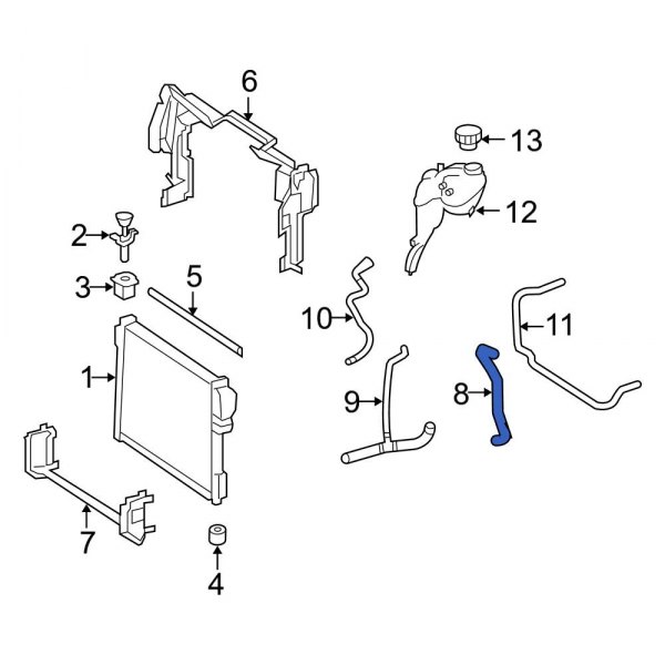 Radiator Coolant Hose