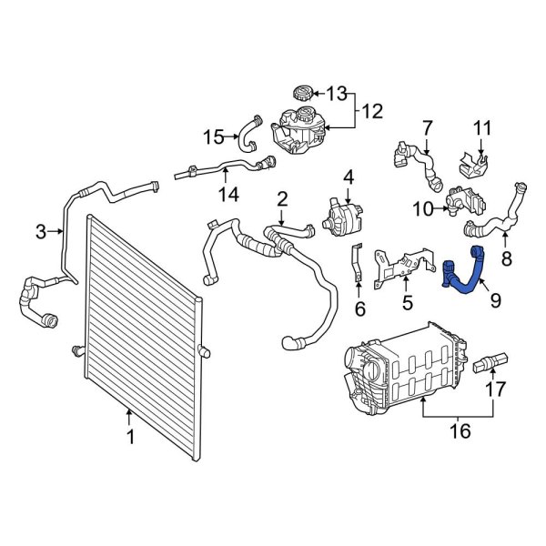 Intercooler Hose