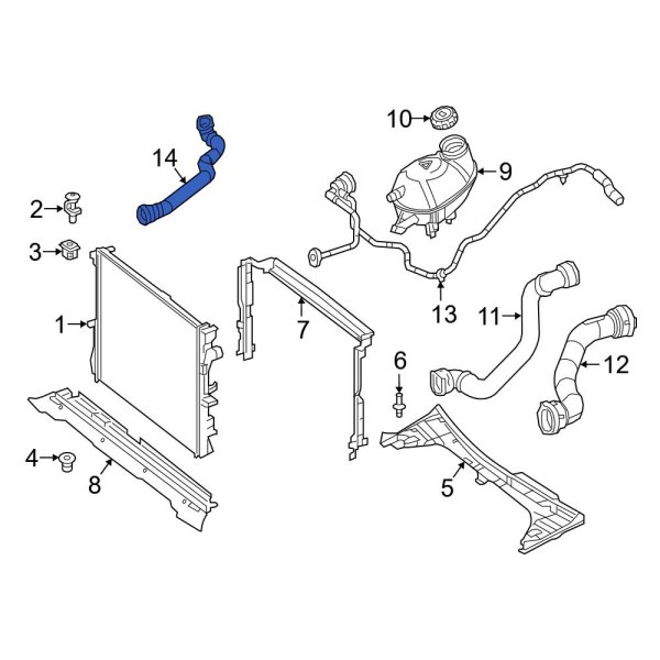 Radiator Coolant Hose