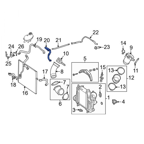 Intercooler Hose