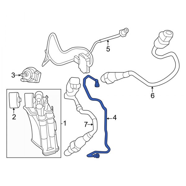 Evaporative Emissions System Lines