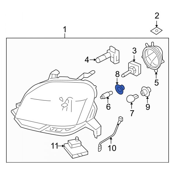 Headlight Socket