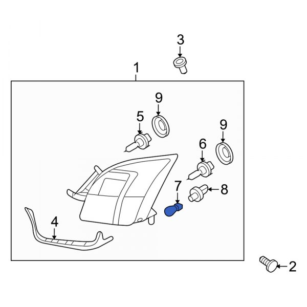 Turn Signal & Parking Light Bulb