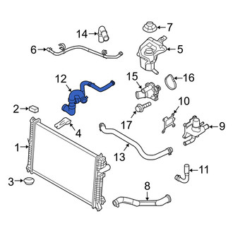 Mercury OE - Lower Radiator Coolant Hose
