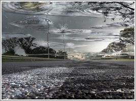 Tyres Puddles