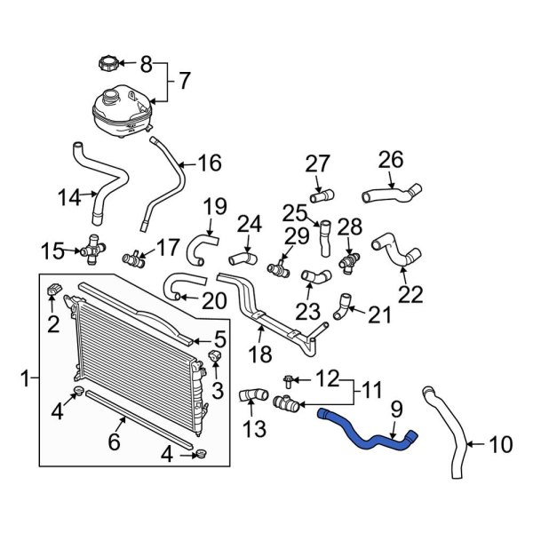 Radiator Coolant Hose