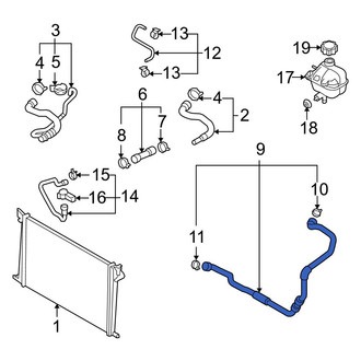 Mini OE - Lower Radiator Coolant Hose