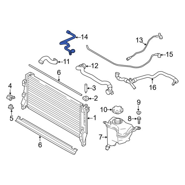 Engine Coolant Overflow Hose