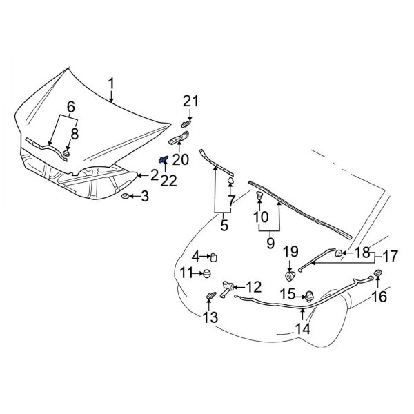 Hood Hinge Bolt