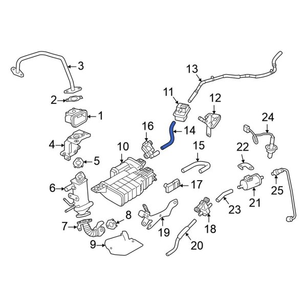 Evaporative Emissions System Lines