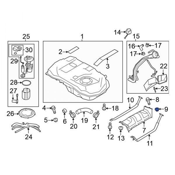 Fuel Tank Shield Nut