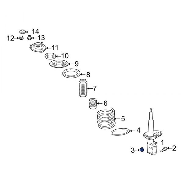 Suspension Strut Nut