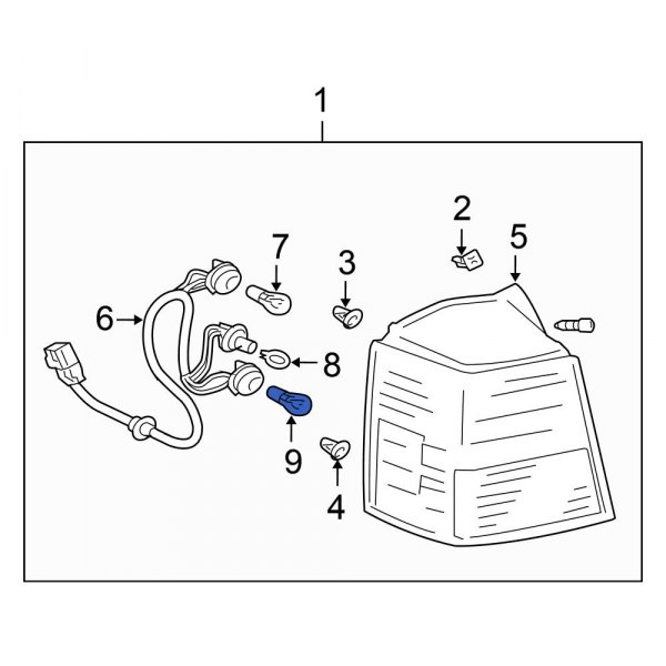 Tail Light Bulb