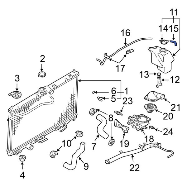 Engine Coolant Overflow Hose