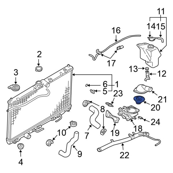 Engine Coolant Thermostat