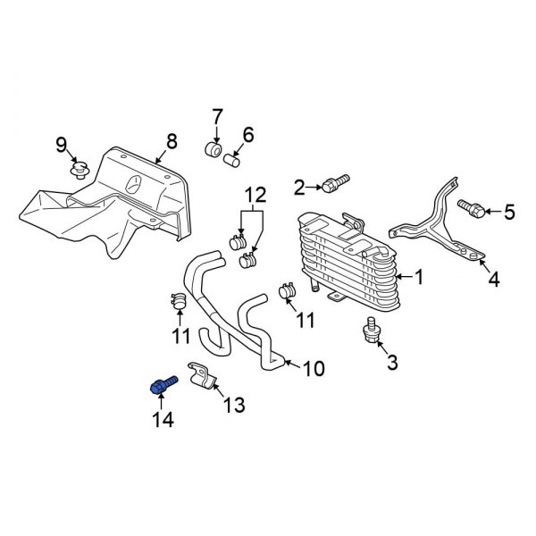 Automatic Transmission Oil Cooler Bolt