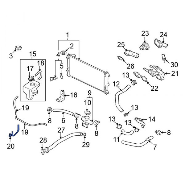 Engine Coolant Reservoir Hose