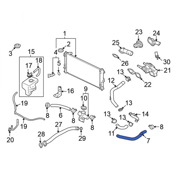 Radiator Coolant Hose