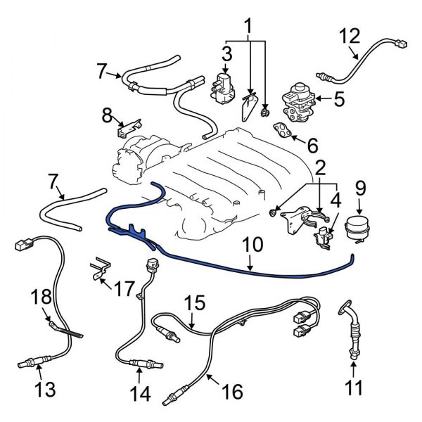 Evaporative Emissions System Lines