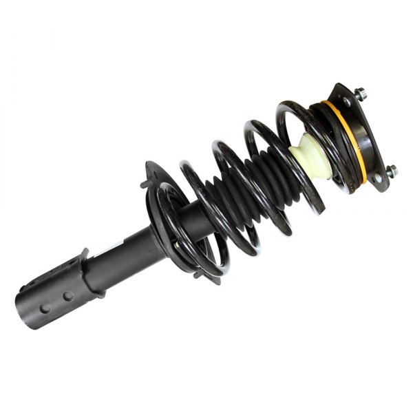RoadMatic Complete Strut Assembly 