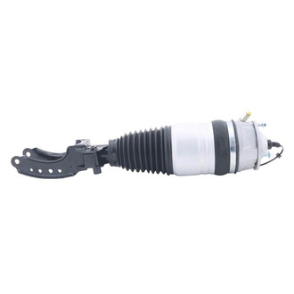 Monroe® - OESpectrum™ Front Passenger Side Air Strut