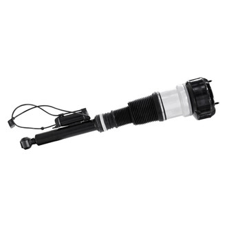 Monroe® - OESpectrum™ Rear Passenger Side Air Strut