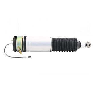 Monroe® - OESpectrum™ Rear Passenger Side Air Strut