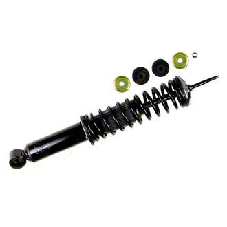 Monroe® - Complete Strut Assembly