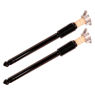 Monroe® - OESpectrum™ Rear Shock Absorber Set