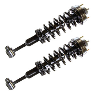 Monroe® - RoadMatic™ Complete Strut Assembly