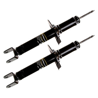 Monroe® - OESpectrum™ Rear Strut Set