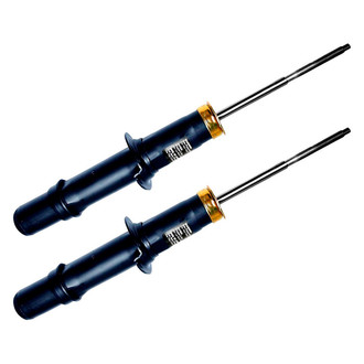 Monroe® - Monro-Matic Plus™ Front Strut Set