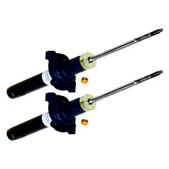 Monroe® - Monro-Matic Plus™ Front Strut Set