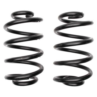 MOOG® - Problem Solver™ Rear Coil Springs