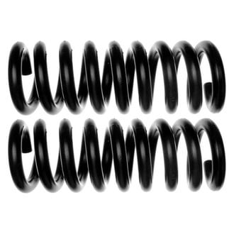 MOOG® - Problem Solver™ Front Coil Springs