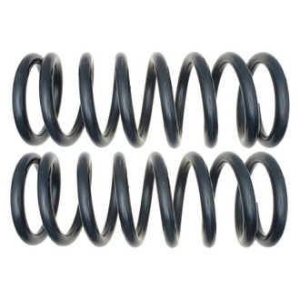 MOOG® - Problem Solver™ Rear Coil Springs