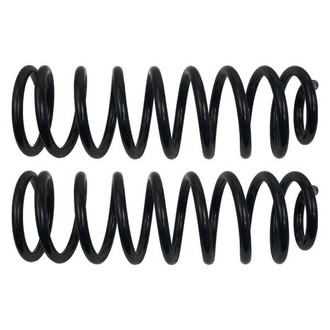 MOOG® - Problem Solver™ Rear Coil Springs