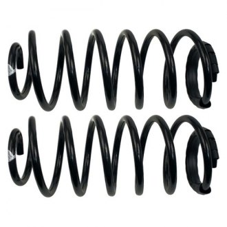 ACDelco 45H2144 Professional Rear Coil Spring Set 