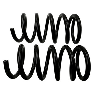 MOOG® - Coil Spring Set