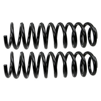 MOOG® - Problem Solver™ Front Coil Springs