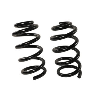 MOOG® - Coil Spring Set