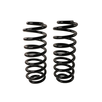 MOOG® - Rear Coil Springs