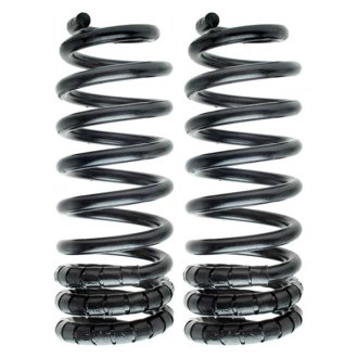 MOOG® - Problem Solver™ Rear Coil Springs