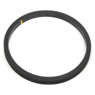 Mopar® - Water Pump Gasket