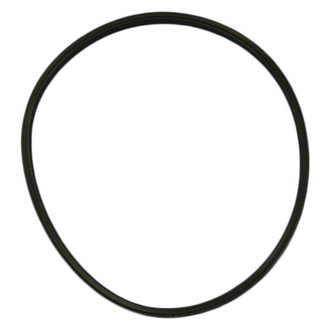 Dodge OE - Fuel Pump O-Ring